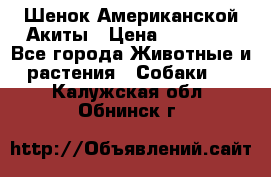 Шенок Американской Акиты › Цена ­ 35 000 - Все города Животные и растения » Собаки   . Калужская обл.,Обнинск г.